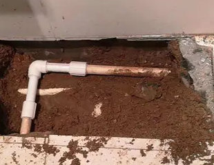 都兰测漏水哪家好