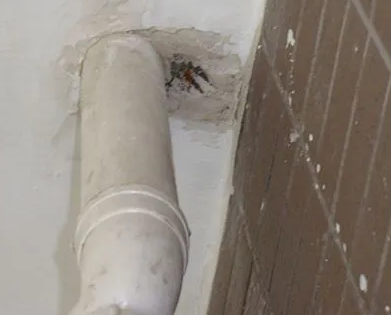 都兰漏水检测哪家好